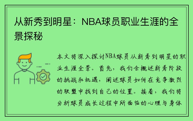 从新秀到明星：NBA球员职业生涯的全景探秘