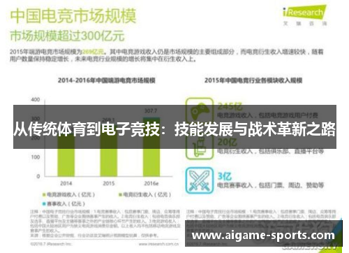 从传统体育到电子竞技：技能发展与战术革新之路