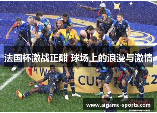 法国杯激战正酣 球场上的浪漫与激情