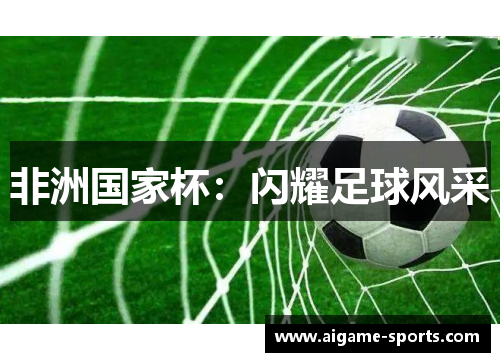 非洲国家杯：闪耀足球风采