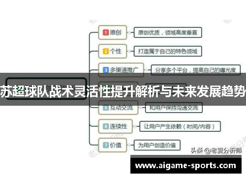 苏超球队战术灵活性提升解析与未来发展趋势